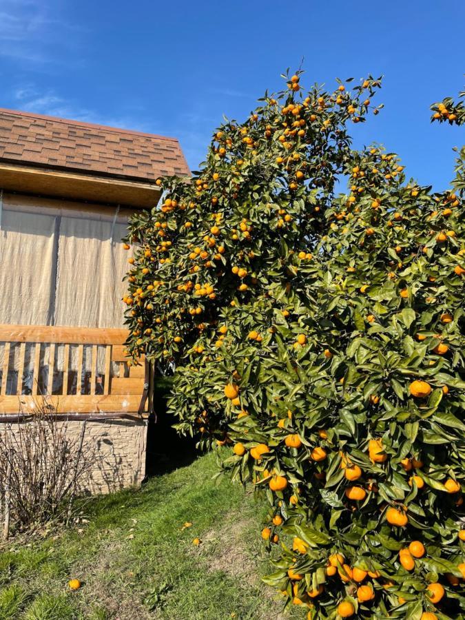 Holiday Home New Athos Zewnętrze zdjęcie